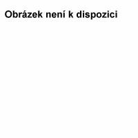 Vinn ocet